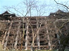 ２月の京都で感じたアレコレ