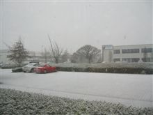 やっと雪が降ってますが。。