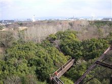 ローコストで行きそこねた…［32］ ソラード（空中観察路）
