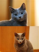 おはようございます。