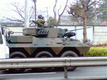 珍車？
