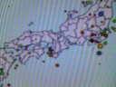 久しぶりに大きい地震