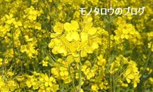 1ヵ月も早いです。 1ヵ月も早いです。