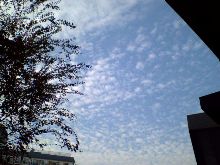 東京の空