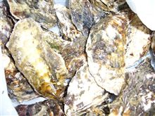 嬉しい頂き物
