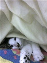 土曜日です