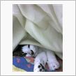 土曜日です