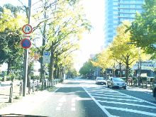 絶景デス？