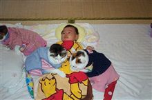 猫と子供の関係