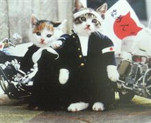なめの巻。