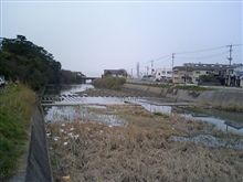 二日酔い？
