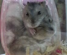 いったい！？
