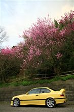 ♪梅は咲いたが～桜は未だかいな～♪
