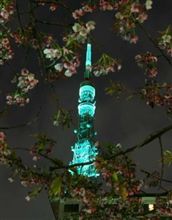 東京タワー