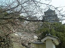 世界文化遺産を観に行きました