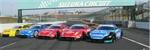 ドキュメント　日産応援団（N-JUNKIE）：&#39;07　第1戦　鈴鹿300ｋｍ　#15
