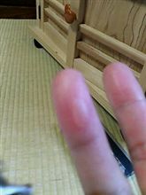 マメ☆ マメ☆