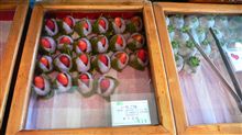 レンタカー生活(2日目午後) レンタカー生活(2日目午後)