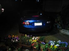 ただ今自然洗車中