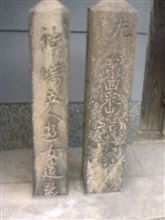 散歩 散歩