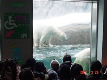 旭山動物園