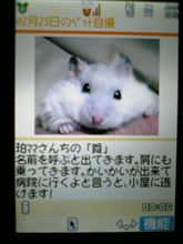 祝銅メダル獲得のベスト５