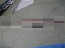戻ってきました