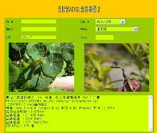 通信速度計測