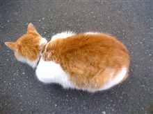 せ