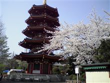 川崎大師＆ランクスの洗車
