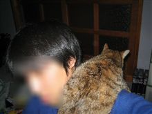 肩に載せてみました。