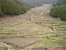 四谷の千枚田