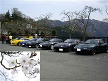 花見日和な休日