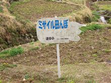 攻撃型水田？