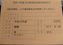 早いもので