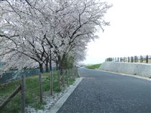 週末までがんばれるのか