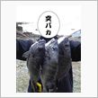 &#39;07ぶらり潜り旅in播磨