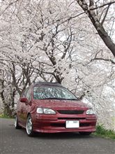 花見 