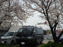 お花見o(*^▽^*)o~♪