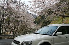 花見ドライブ