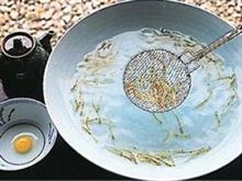 福岡の春の風物詩～白魚の踊り食い