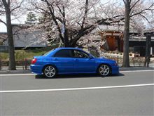 ( ﾟДﾟ)ノ･･･終焉のニャンギ号