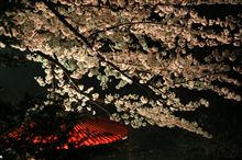 散る桜 残る桜も散る桜