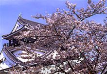 今週土曜日はプチオフ