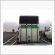 又もや警察馬のお話。