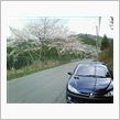 釜坂峠に花見しにいきました