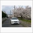桜並木道