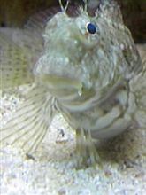 何時間いたんだろう・・・？