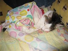 My name is &quot;Buchi&quot;.