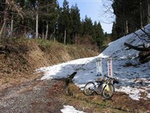 巨樹を求めてひとっこぎ♪⑫【太田のトチノキ　その一】